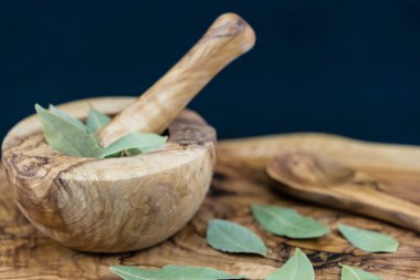 Koyun yaprakları ve ardıç meyveleri zeytin ağacında