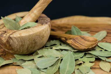 Koyun yaprakları ve ardıç meyveleri zeytin ağacında