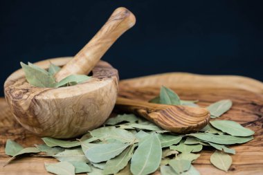 Koyun yaprakları ve ardıç meyveleri zeytin ağacında