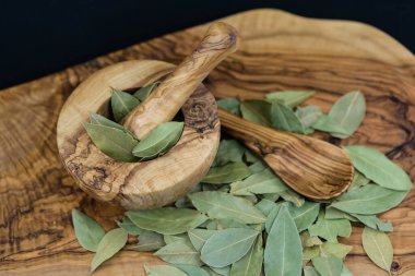 Koyun yaprakları ve ardıç meyveleri zeytin ağacında