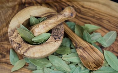 Koyun yaprakları ve ardıç meyveleri zeytin ağacında