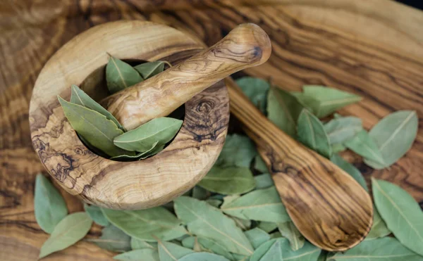 Koyun yaprakları ve ardıç meyveleri zeytin ağacında