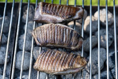 Kızarmış ördek göğsü filetosu ve hindiba portakallı ceviz salatası.