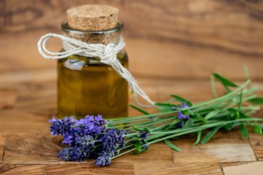 Taze lavanta Lavandula ile alternatif tıp