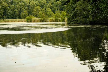 Appelbeck Gölü 'nün etrafında yürüyüş yolu.