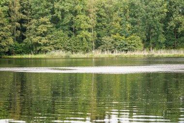 Appelbeck Gölü 'nün etrafında yürüyüş yolu.