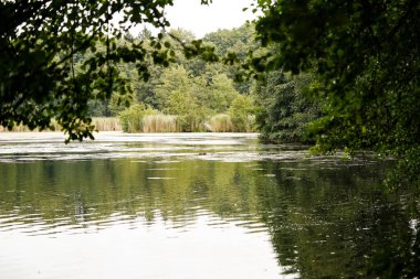 Appelbeck Gölü 'nün etrafında yürüyüş yolu.