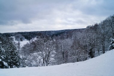 Kar bir dağ bisikletine düştükten sonra Fischbeker Heide doğa koruma alanı Hamburg yakınlarında