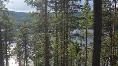 Ulusal park Lemmenjoki, Laponya, Finlandiya