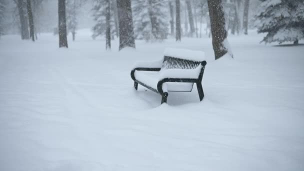 Tung Snö Faller Park Med Blandade Träd Och Metallbänk Vädret — Stockvideo