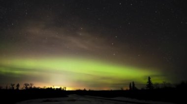 Gece vakti gökyüzünde bir sürü yıldız ve bir ormanın ve küçük bir kasabanın üzerindeki kuzey ışıkları..  