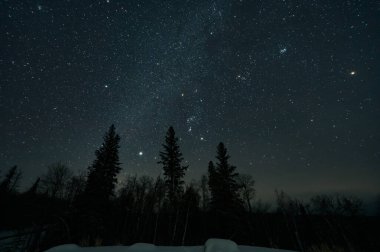 Yıldızlar gece gökyüzünü Samanyolu ve orman silueti üzerindeki birkaç takımyıldızla doldurdu..