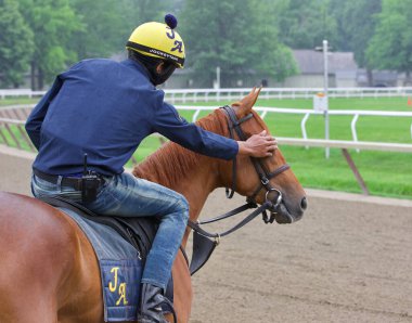 Saratoga 'da hayat, bu güzel, kestane rengi kısrak Jorge Abreu için Oklahoma antrenman pistinde sabah antrenmanına hazır. Filo fotoğrafı