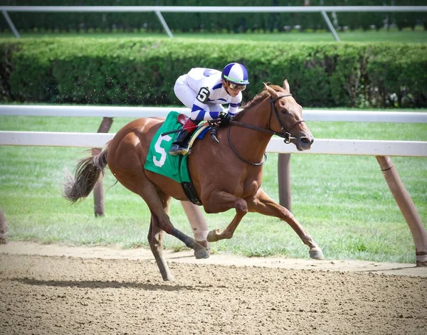 Irad Ortiz Guiando Potranca Rápida Irish Danzing Una Deslumbrante Victoria — Foto de Stock