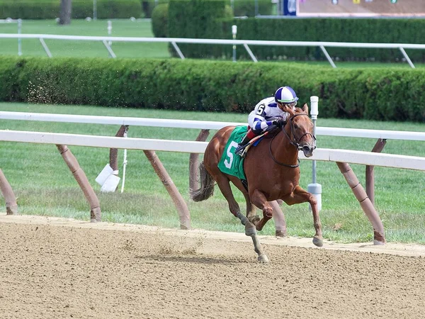 Irad Ortiz Guiando Potranca Rápida Irish Danzing Una Deslumbrante Victoria —  Fotos de Stock