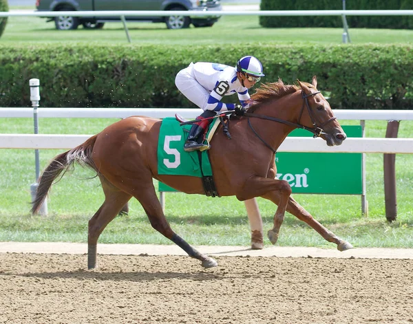 Irad Ortiz Ganando Bordo Este Primer Titular Irish Danzing Una —  Fotos de Stock