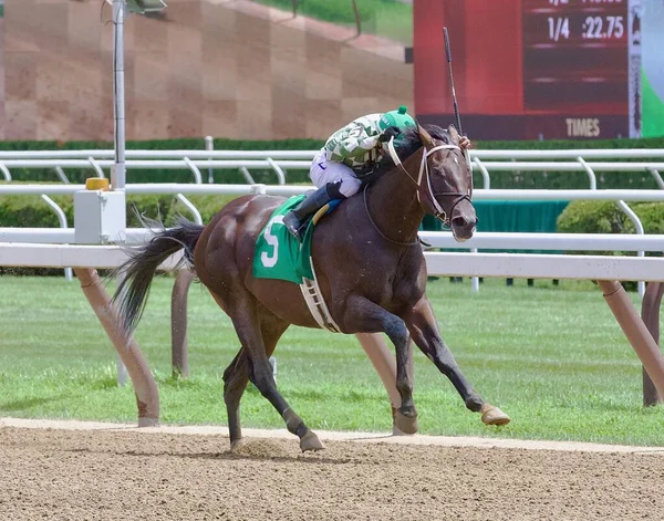 Blue Gem Massive Bay Colt Ricardo Santana Winning Historic Hot — Stock Photo, Image