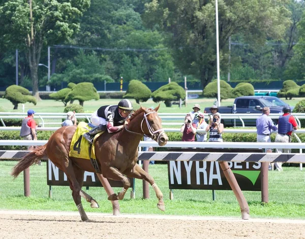 Scars Cool Tyler Gafflione Winning Easily Fast Chestnut Colt Historic — Stock Photo, Image