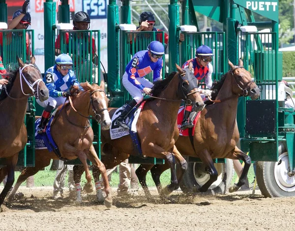 Guaraná José Ortiz Rompiendo Fromm Puerta Salida Antes Ganar Coaching — Foto de Stock