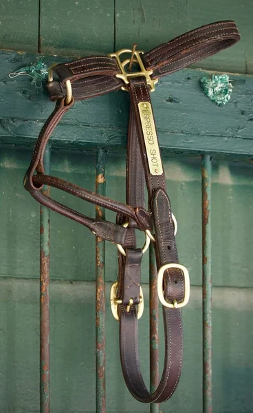 Espresso Shot Leather Halter Hangend Aan Achterkant Van Horse Haven — Stockfoto