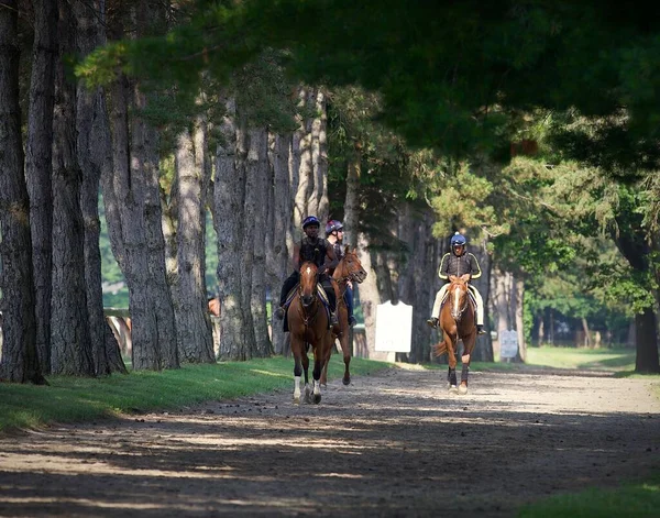 Vida Backstretch Saratoga Como Estes Jovens Pilotos Exercício Voltar Seus — Fotografia de Stock