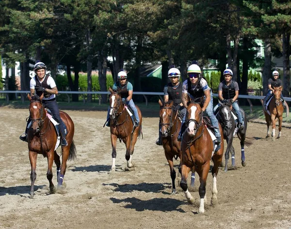 Morning Workouts Saratoga Met Eerste Paar Paarden Boren Voor Chad — Stockfoto