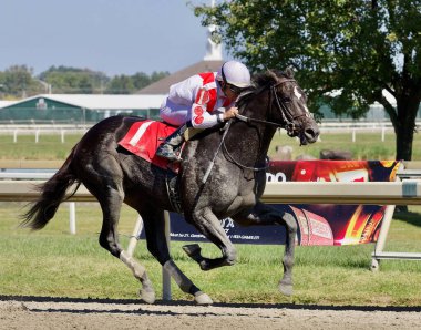 Independance Hall, Pennsylvania Derby Günü 'nde Parx' ta Jokey Joel Rosario ile ilk maçına çıkan Constitution tarafından 2 yaşında başlayan ilk oyuncu. Filo fotoğrafı