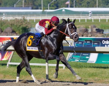 Coal Front & Mike Smith Pensilvanya Derbi Günü 'nde Parx Mile bahislerini kazanmak için başlangıç kapısından çıkıyor. Filo fotoğrafı