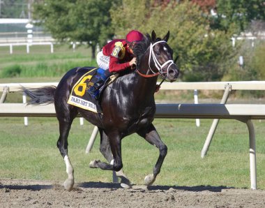 Coal Front & Mike Smith Pensilvanya Derbi Günü 'nde Parx Mile bahislerini kazanmak için başlangıç kapısından çıkıyor. Filo fotoğrafı
