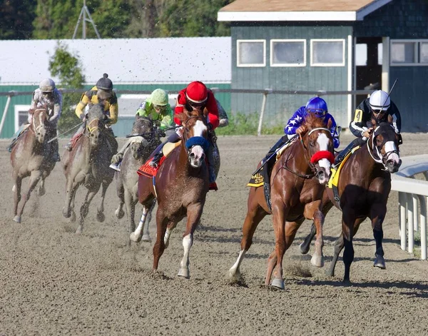 Landeskog Abel Cedillo Conducând Încărcătura Întinderea Din Gallant Bob Stakes — Fotografie, imagine de stoc