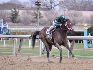 Joe Bravo birinci sınıf Carter Handicap 'ı Aqueduct' ta Ordu Katırı 'yla yakaladıktan sonra galibiyet çemberinde. Filo fotoğrafı