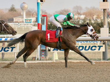 Aqueduct 'ta serin bir kış gününde çok sayıda bahisle Pauseforthea- R. Maragh' ı kazanmak, çok güzel yapılı, Bay Colt 'u kazanmak. Kolay bir skor için yeşil ve beyaz ipekler ve sinyal lambaları takıyorlar. Filo fotoğrafı