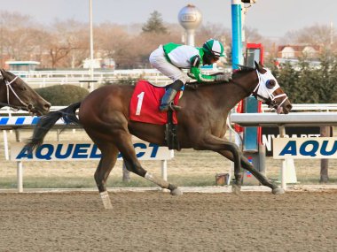 Aqueduct 'ta serin bir kış gününde çok sayıda bahisle Pauseforthea- R. Maragh' ı kazanmak, çok güzel yapılı, Bay Colt 'u kazanmak. Kolay bir skor için yeşil ve beyaz ipekler ve sinyal lambaları takıyorlar. Filo fotoğrafı