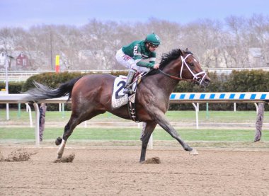 Joe Bravo birinci sınıf Carter Handicap 'ı Aqueduct' ta Ordu Katırı 'yla yakaladıktan sonra galibiyet çemberinde. Filo fotoğrafı