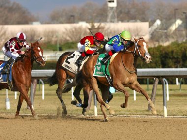 Çoklu bahisler kazanan kısrak Dikey Meşe Aqueduct 'ta Çiçek Çelengi' ni kazanan genç jokey Eric İptal. Filo fotoğrafı