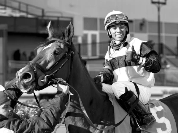 Shelley Ann Een Goed Gebalanceerde Jarige Merrie Met Enorme Spieren — Stockfoto