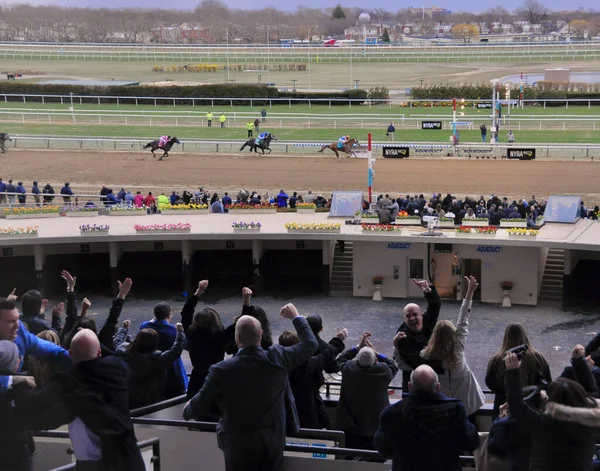 Curlin 'den Vino Rosso, Big A Photo' daki 2018 Wood Memorial kazığını kazanırken Repole takımı John Velazquez 'in galibiyetini kutlarken tribünden çekildi. Filo fotoğrafı