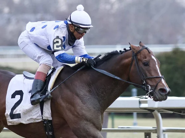 Combustível Berna Com Jockey Reylu Gutierrez Recebendo Vitória Por Comprimentos — Fotografia de Stock