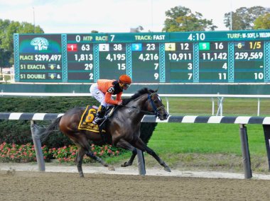 Javier Castellano 'nun eyerde olduğu Imperial İpucu, güzel Belmont Park' taki bitiş çizgisine doğru iki Vosburgh kazığının ilkini kazanmak için tek başına ilerliyor. Filo fotoğrafı 