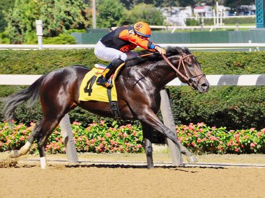 Franco hızlı Riken 'da birinci oldu. Tamamen genişlemiş bir şekilde Manny Franco, güzel Belmont Parkı 'nda finiş çizgisinde atına binmek için yalvarıyordu. Filo fotoğrafı 