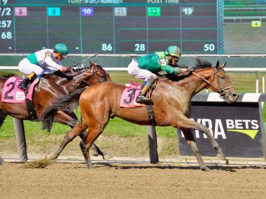 Amerikan Donanması, Curlin 'den Colt. Jose Ortiz, güzel Belmont Parkı' nda bitiş çizgisine doğru ilerliyor. Filo fotoğrafı 
