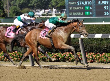 Amerikan Donanması, Curlin 'den Colt. Jose Ortiz, güzel Belmont Parkı' nda bitiş çizgisine doğru ilerliyor. Filo fotoğrafı 