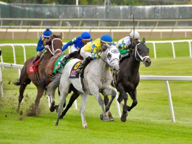 Jose Ortiz, Pensilvanya Derbi Günü 'nde, Alfabe Çorbası' nda Hansen 'in 