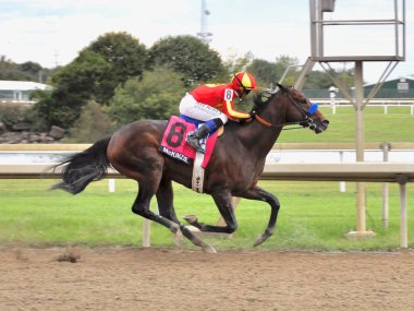 McKinzie, Mike Smith ile birlikte 2018 Pennsylvania Derbisi kazananı. Fleetphhoto