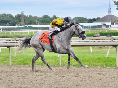 Smokin Nitro, yakışıklı gri tay ve jokey Frankie Pennington Pensilvanya Derbi Günü 'nde bu bakirenin özel ağırlığını kazanıyor. Filo fotoğrafı