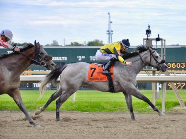 Smokin Nitro, a handsome gray colt with jockey Frankie Pennington winning this maiden special weight on Pennsylvania Derby Day. Fleetphoto clipart