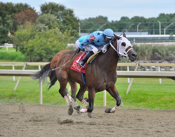 Doktorsofmischief Mischief White Blinkers Winning Undercard Pennsylvania Derby Day Jockey — Stock fotografie