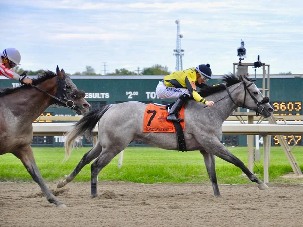 Smokin Nitro Guapo Potro Gris Con Jinete Frankie Pennington Ganando — Foto de Stock