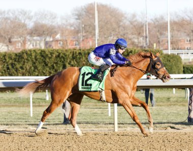 Tapit 'ten Lake Avenue, Jokey Junior Alvarado' nun Aqueduct 'taki prestijli Demoiselle Stakes' i kazandığı sağlam bir dişi kestane. Bill Mott tarafından eğitilmiş, bu ahırda gelecek vaat eden 2 yaşındaki özel bir kısrak. Filo fotoğrafı
