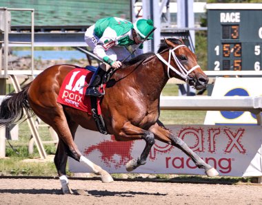 Parx 'ı kazanan Frankie Pennington' la Diamond King. Pensilvanya Derbi Günü 'nde bekaretini bozan çoklu bahis kazananın renkli fotoğrafı. Filo fotoğrafı